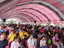 欣賞表演