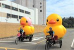 黃色小鴨
