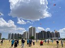 五彩斑斕的風箏